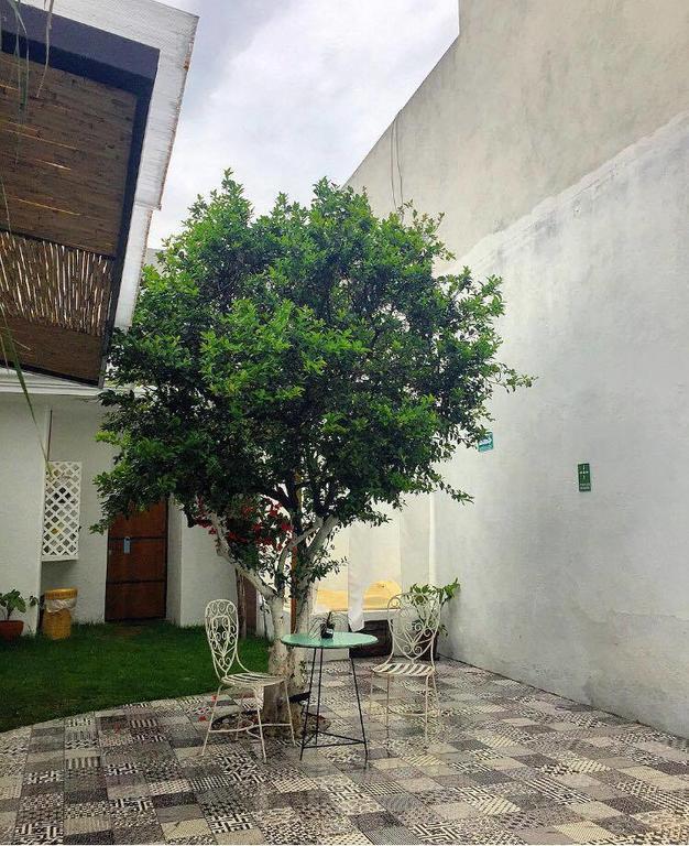 Hoja Santa Hostal Boutique Cholula Bagian luar foto